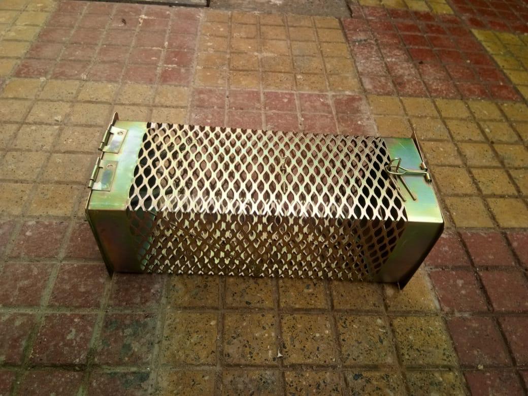 Barfi Rat Box 
